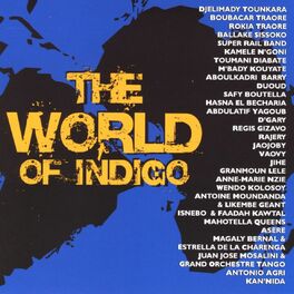 Album cover of The World of Indigo