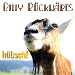 Album cover of Hübsch!