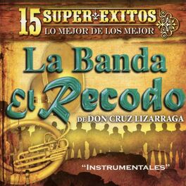 Album cover of 15 Instrumentales Con la Banda el Recodo