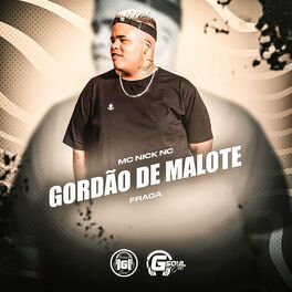 Album cover of Gordão de Malote