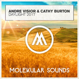 Album cover of Daylight 2017