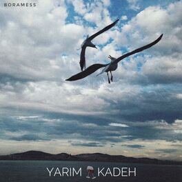 Album cover of Yarım Kadeh