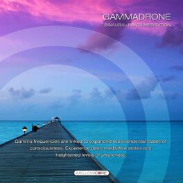 Album cover of Gammadrone