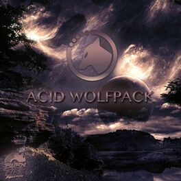 Album cover of Acid Wolfpack
