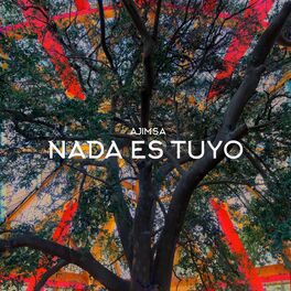 Album cover of Nada Es Tuyo