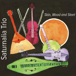 Album cover of Skin, Wood and Steel