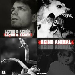 Album cover of REINO ANIMAL (feat. Xenón)