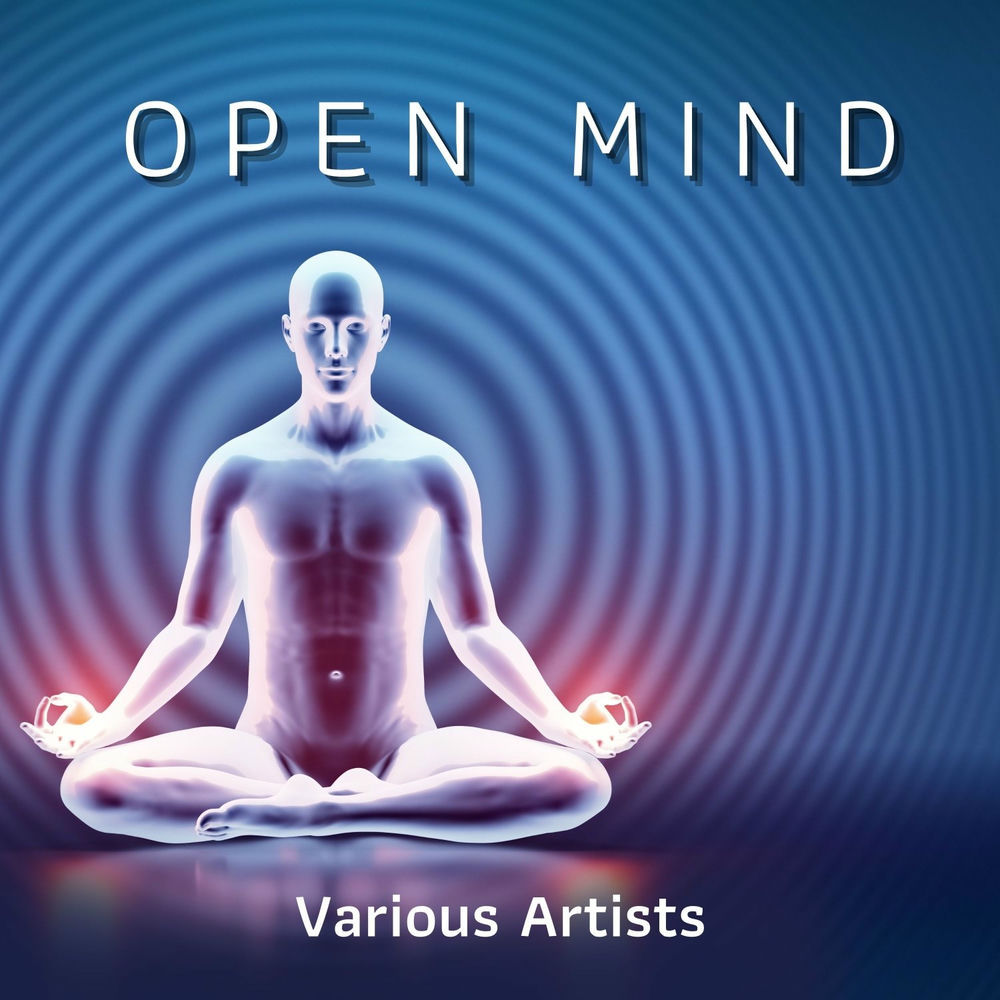 Медитация 10. Пранаяма йога. Йога чакры. Кундалини йоги. Биоэнерготерапия.