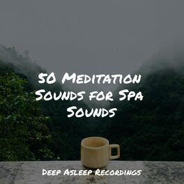 Album cover of 50 Meditation Sounds for Spa Sounds