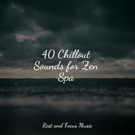 Album cover of 40 Chillout Sounds for Zen Spa
