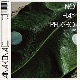 Album cover of No Hay Peligro