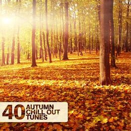 Album cover of 40 Autumn Chill Out Tunes