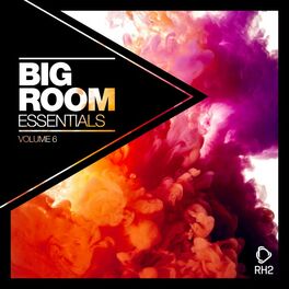 Album cover of Big Room Essentials, Vol. 6