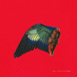 Album cover of E noldu?