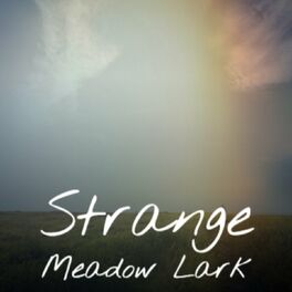 Album cover of Strange Meadow Lark