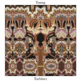 Album cover of Turbines