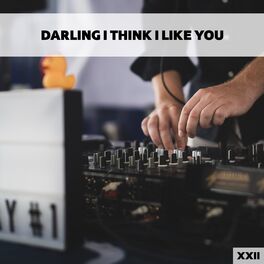 Album cover of Darling I Think I Like You XXII