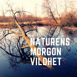 Album cover of Naturens morgon vildhet