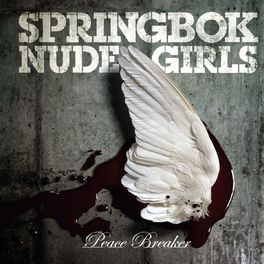 Album cover of Peace Breaker 2008