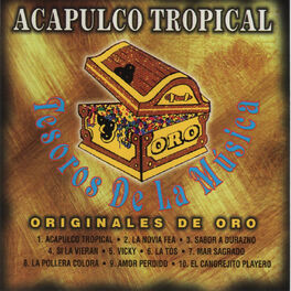 Album cover of Tesoros de la Musica