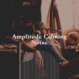 Album cover of Amplitude Calming Noise