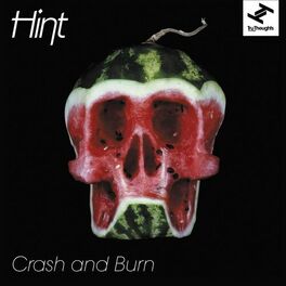 Album cover of Crash and Burn (feat. Natalie Storm)