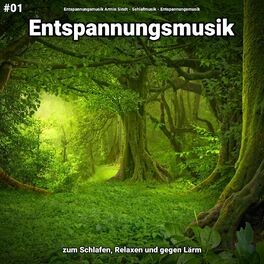 Album cover of #01 Entspannungsmusik zum Schlafen, Relaxen und gegen Lärm