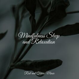 Album cover of Mindfulness Sleep and Relaxation