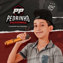 Album cover of O sucesso dos paredões!