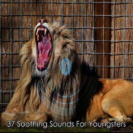 Album cover of 37 Soothing Sounds For Youngsters