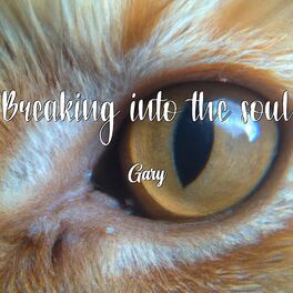 Album cover of Breaking into the Soul