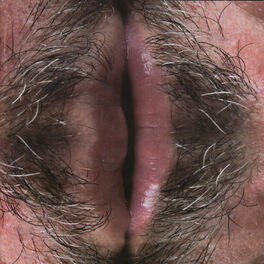 Album cover of Pelo Público