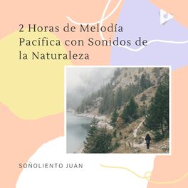 Album cover of 2 Horas de Melodía Pacífica con Sonidos de la Naturaleza