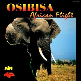 Album cover of African Flight