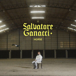 Album cover of Horse