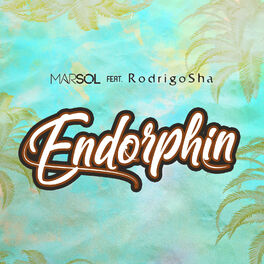 Album cover of Endorphin