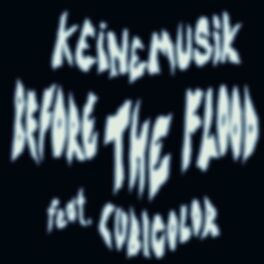 Album cover of Before The Flood
