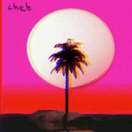 Album cover of Wslatkom Chi Haja Mn Chamch ?