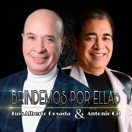 Album cover of Brindemos Por Ellas (feat. Luis Alberto Posada)