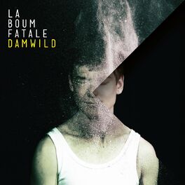 Album cover of Damwild
