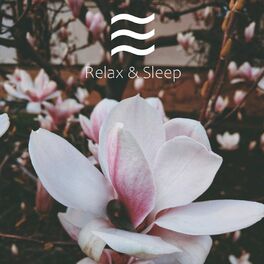 Album cover of Healing Womb Sounds for Baby Falling Asleep