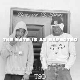 Album cover of THE HATE IS AS EXPECTED (feat. SALUTE)
