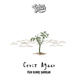 Album cover of Ceviz Ağacı (Film Olmuş Şarkılar)