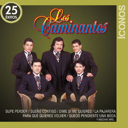 Album cover of Íconos 25 Éxitos