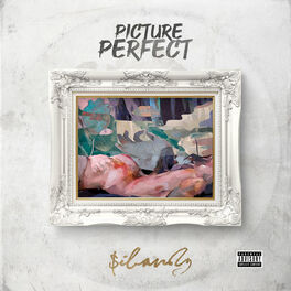 Album cover of Picture Perfect