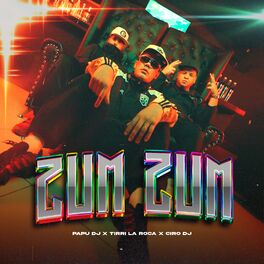 Album cover of Zum Zum