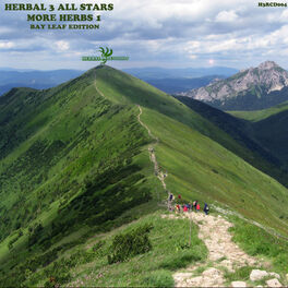 Album cover of Herbal 3 All Stars - MORE HERBS 1 (MP3 Compilation)
