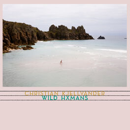 Album cover of Wild Hxmans