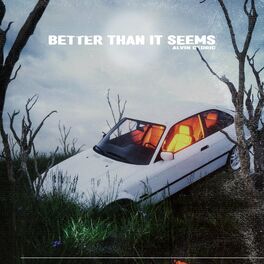 Album cover of BETTER THAN IT SEEMS
