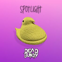 Album cover of Spotlight